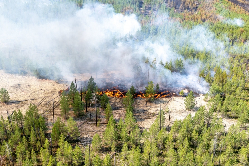 Счётная палата раскритиковала оснащение регионов лесопожарной техникой